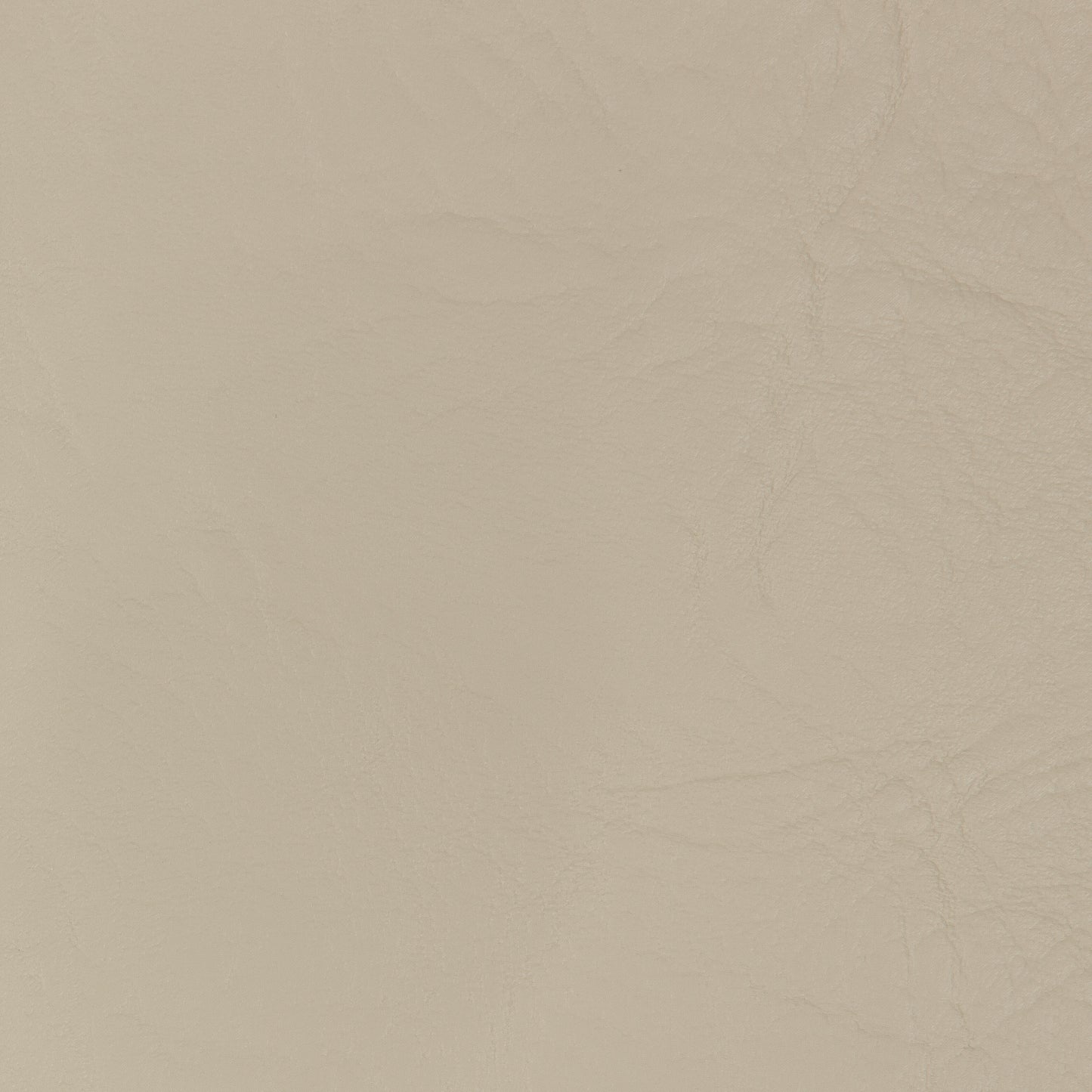 XB White Vinyl (RT048)