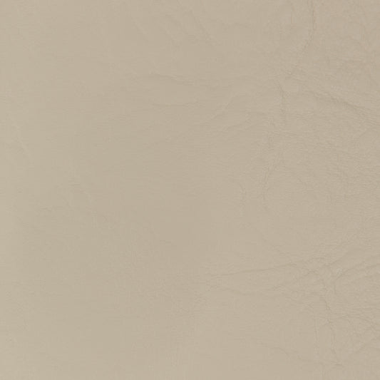 XB White Vinyl (RT048)