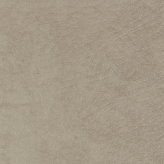 HT Sandalwood Robuck Vinyl (RT081)