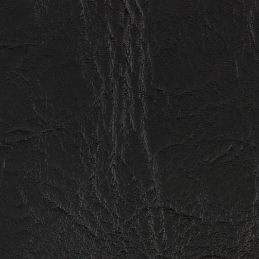 XB Black Vinyl (RT119)