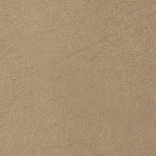 HJ Buckskin Vinyl (RT123)